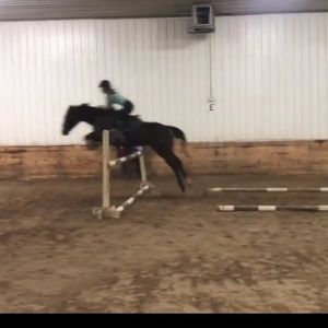 Meet your Posher, Faith